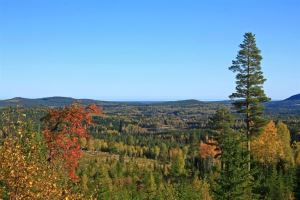 En solig höstdag i Hälsingland. Bleckbergen 320 möh, 27 km från kusten.